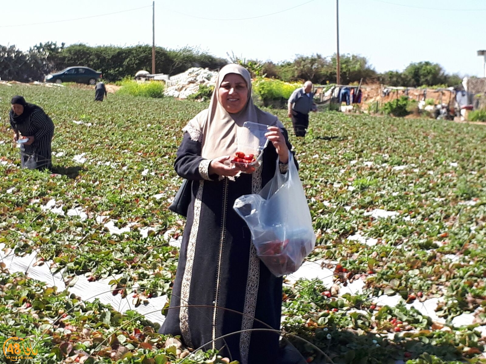 ab7bableaqsaa3 (35).jpg